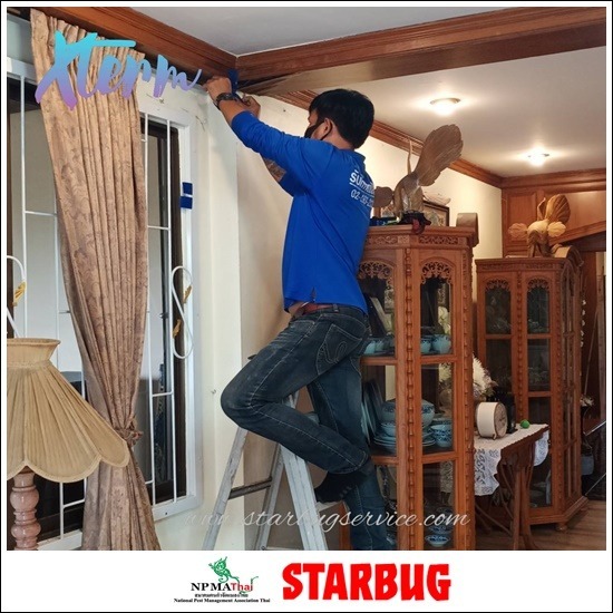 กำจัดปลวกด้วยเอ็กซ์เทอม-กำจัดปลวกปทุมธานี