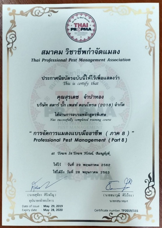 วางเหยื่อล่อปลวกปทุมธานี