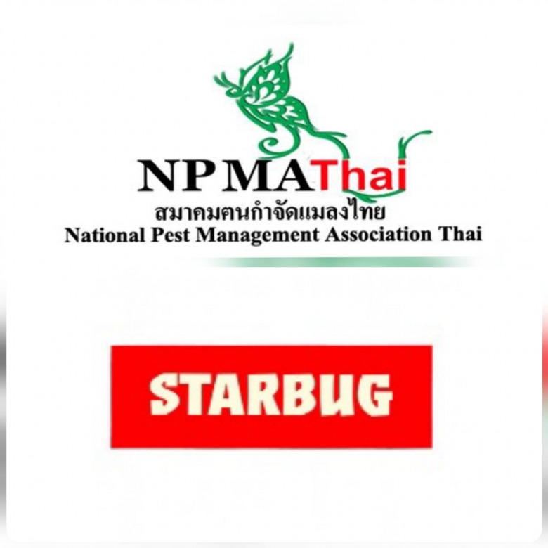 กำจัดปลวก ลาดหลุมแก้ว